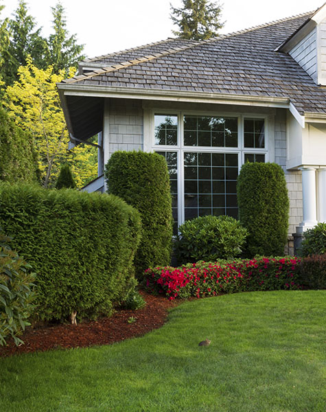 Lawn Care Services In Northern Virginia, Northern Virginia Landscaping Services